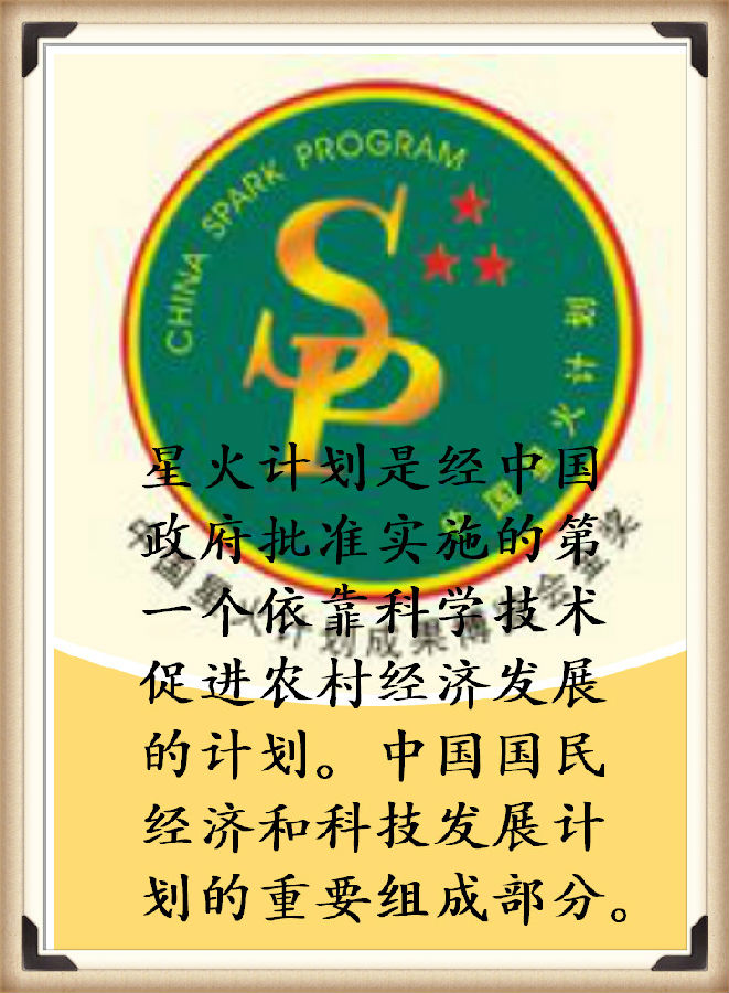 新的一天,新的一月,记得带上阳光和微笑