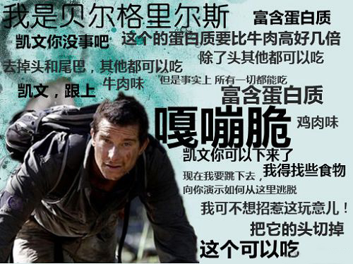 站在食物链顶端的男人